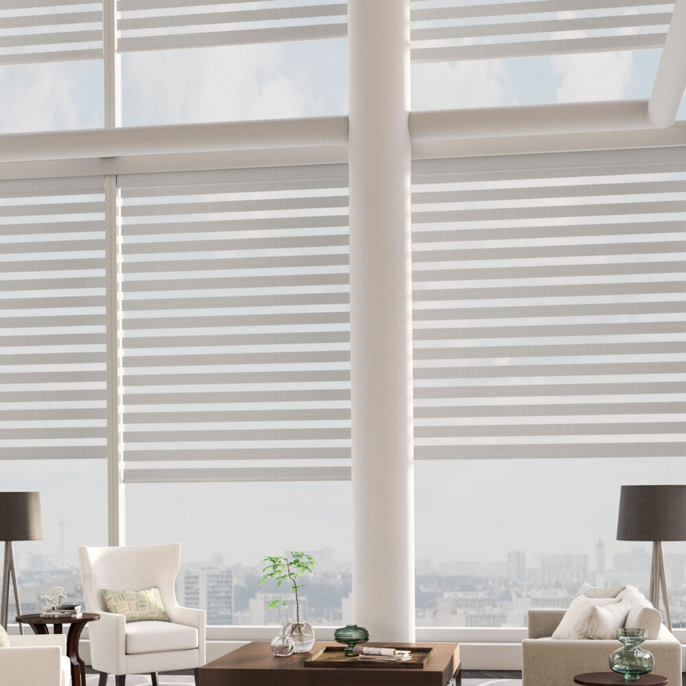 Cortinas Zebra Eclipse